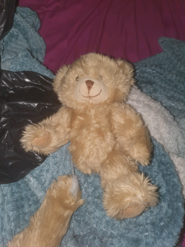 broken leg teddy bear